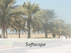  softscape UAE