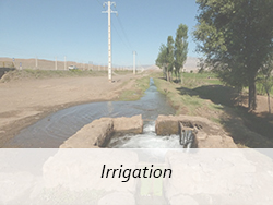 iranian irrigation